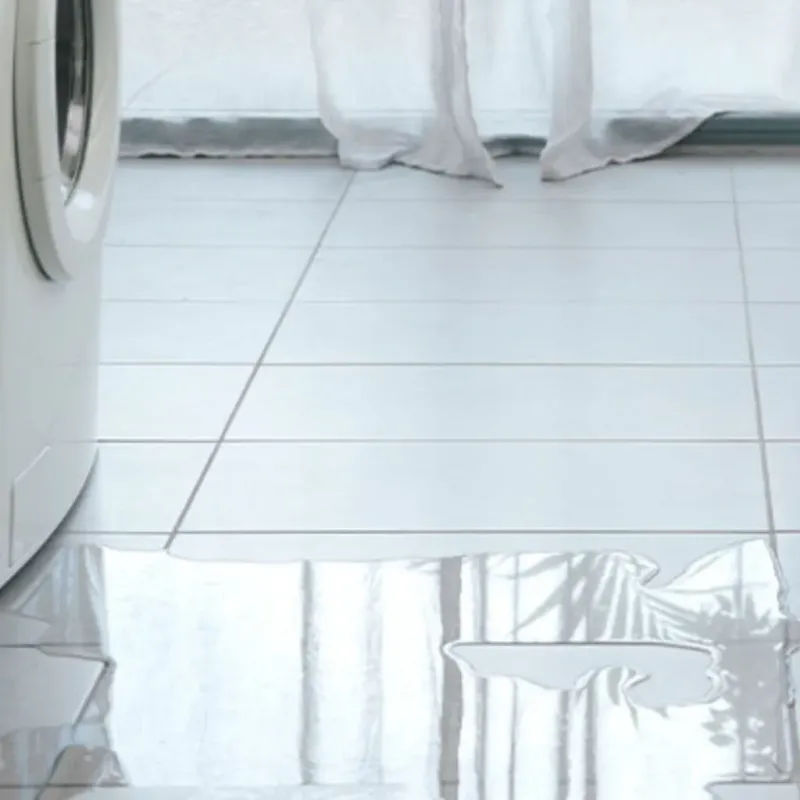 Appliance Leak Cleanup in City of Chesapeake, VA