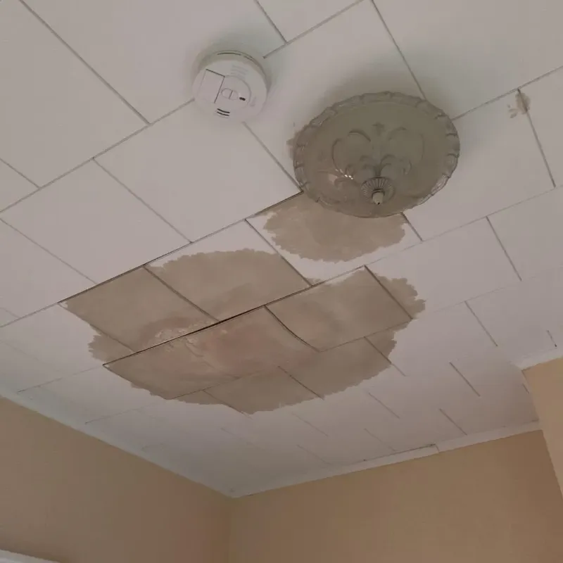 Ceiling Water Damage Repair in City of Chesapeake, VA