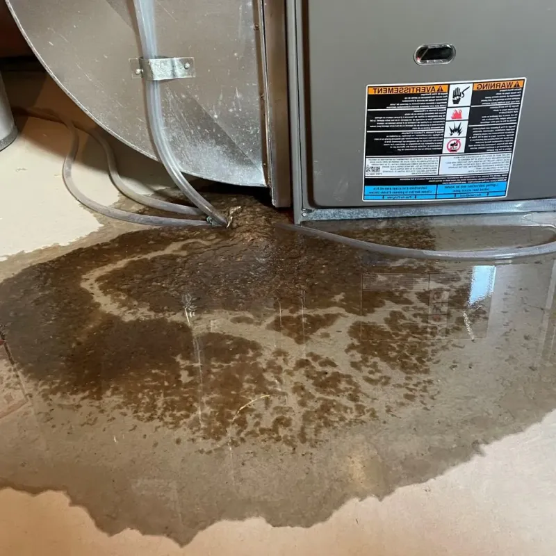 Pipe Burst and Leak Restoration in City of Chesapeake, VA