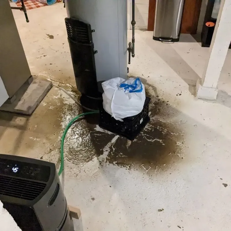 Sewage Backup Cleanup Service in City of Chesapeake, VA